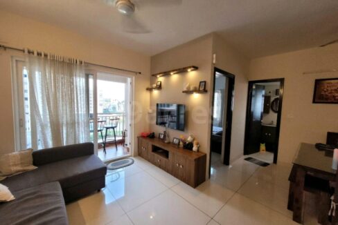 WhatsApp Image 2025-05-17 at 1.26.15 PM