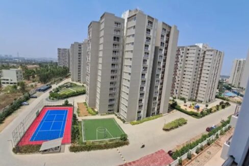 WhatsApp Image 2025-05-17 at 1.26.17 PM