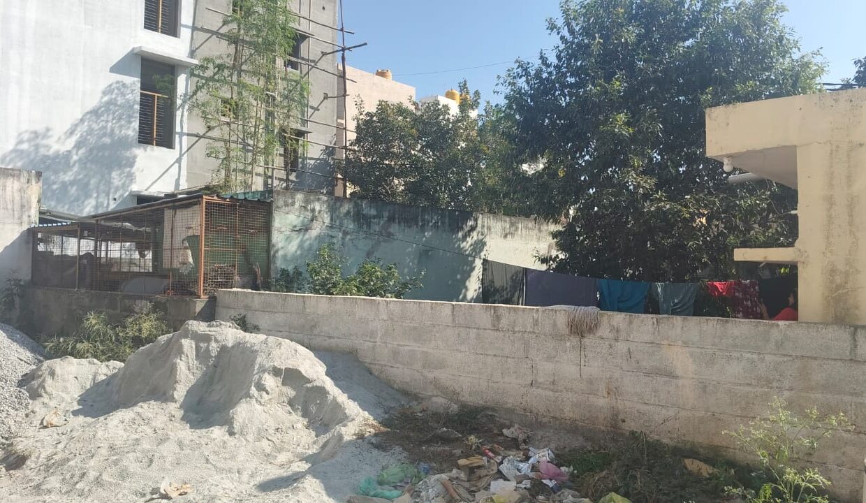 WhatsApp Image 2025-05-20 at 7.24.38 PM