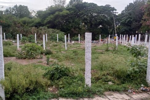 WhatsApp Image 2025-05-21 at 12.18.00 PM