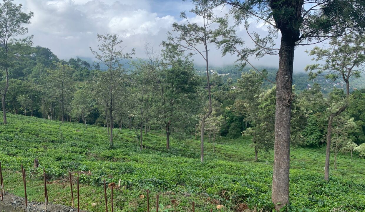 WhatsApp Image 2025-05-21 at 3.54.01 PM (1)