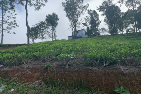 WhatsApp Image 2025-05-21 at 3.54.01 PM (2)