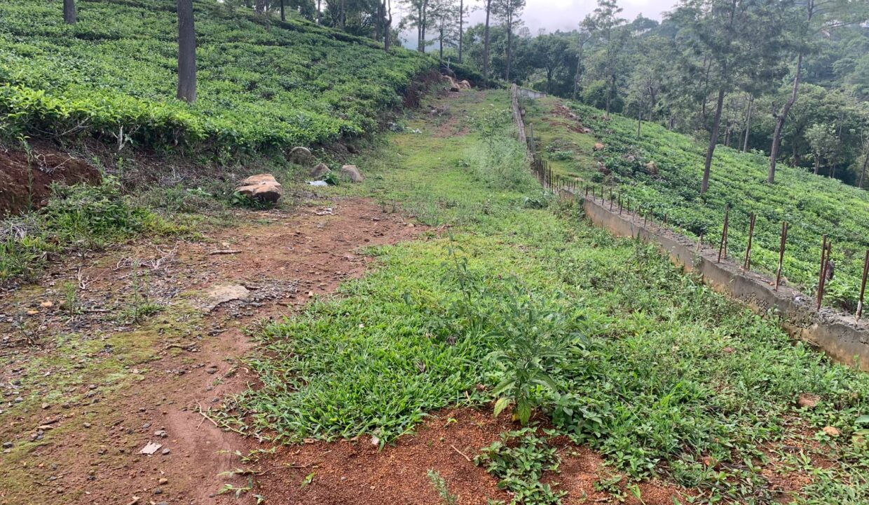 WhatsApp Image 2025-05-21 at 3.54.02 PM (2)