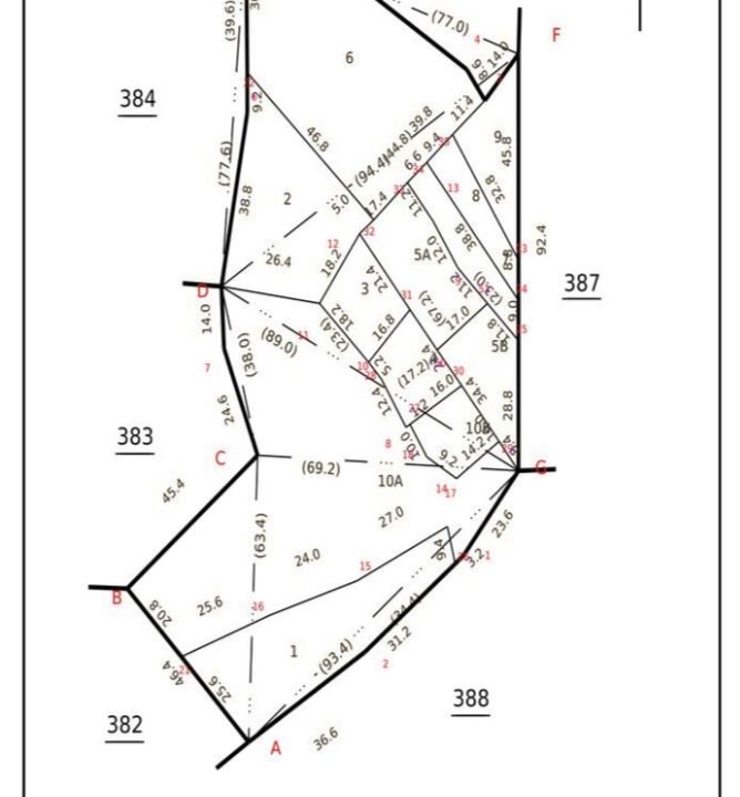 WhatsApp Image 2025-05-21 at 3.54.17 PM (2)