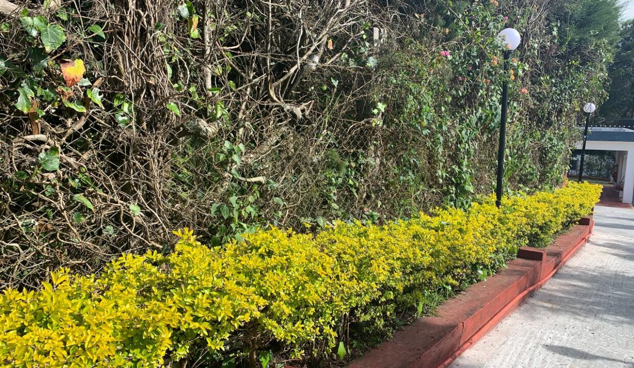 WhatsApp Image 2025-05-21 at 4.04.27 PM (1)