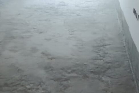 WhatsApp Image 2025-05-22 at 1.21.31 PM (1)