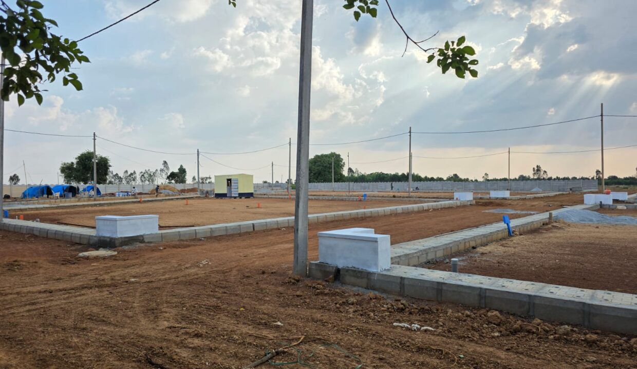 WhatsApp Image 2025-05-23 at 4.24.53 PM (1)