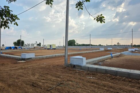 WhatsApp Image 2025-05-23 at 4.24.53 PM (1)