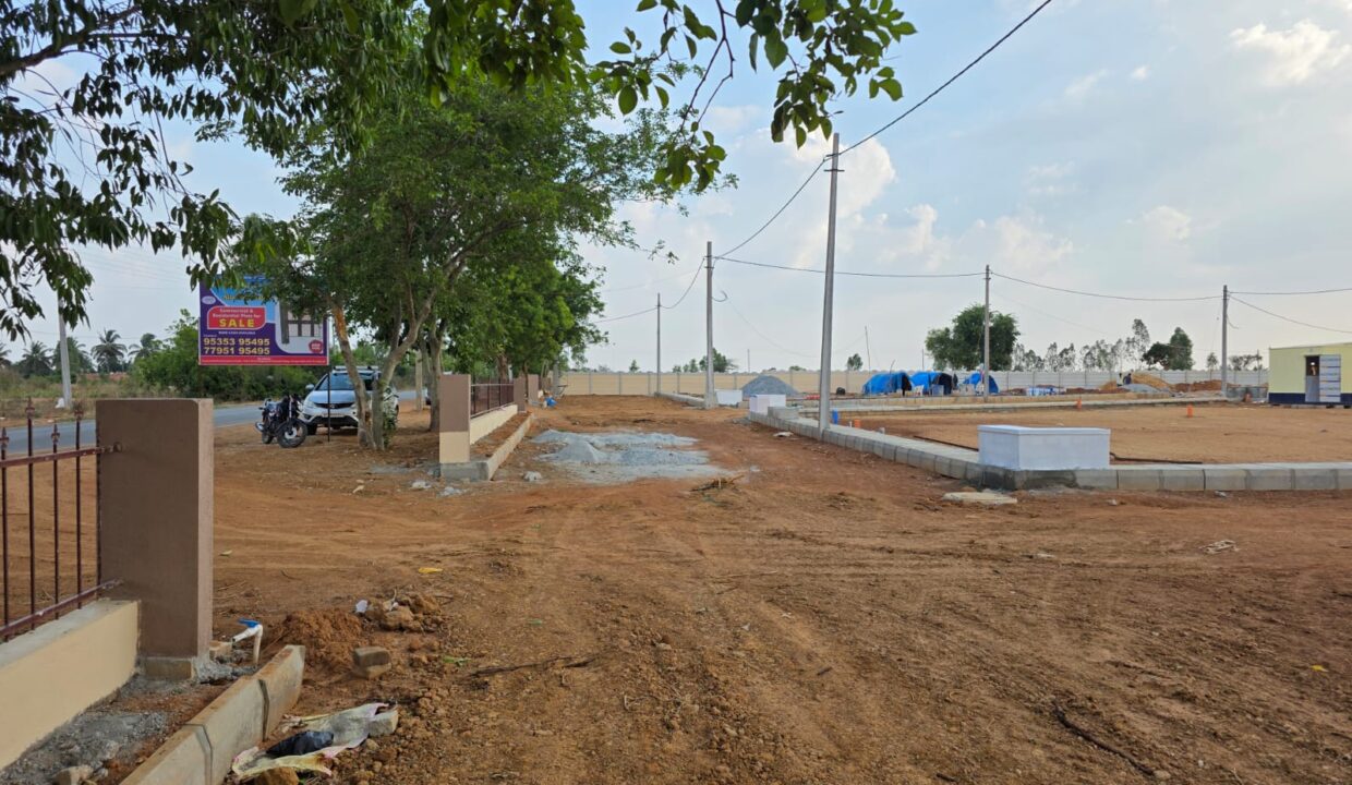 WhatsApp Image 2025-05-23 at 4.24.53 PM