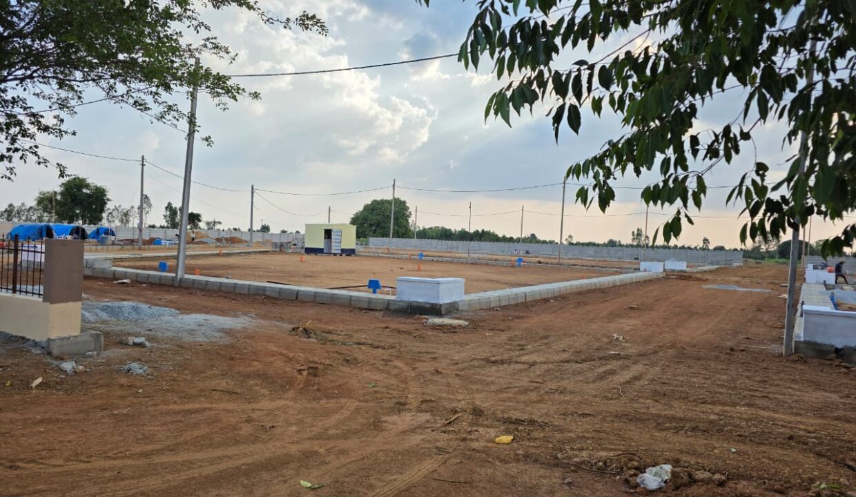 WhatsApp Image 2025-05-23 at 4.24.53 PM (2)