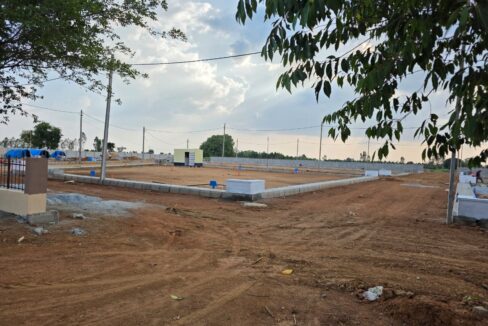 WhatsApp Image 2025-05-23 at 4.24.53 PM (2)