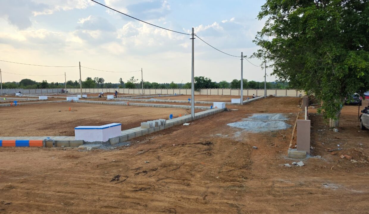 WhatsApp Image 2025-05-23 at 4.24.54 PM (1)