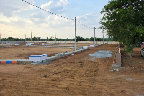 WhatsApp Image 2025-05-23 at 4.24.54 PM (1)