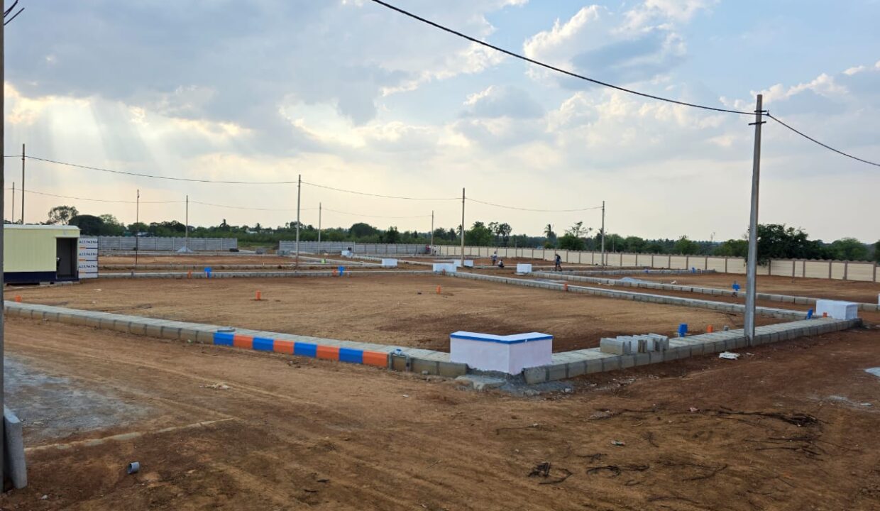 WhatsApp Image 2025-05-23 at 4.24.54 PM (2)