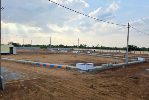 WhatsApp Image 2025-05-23 at 4.24.54 PM (2)