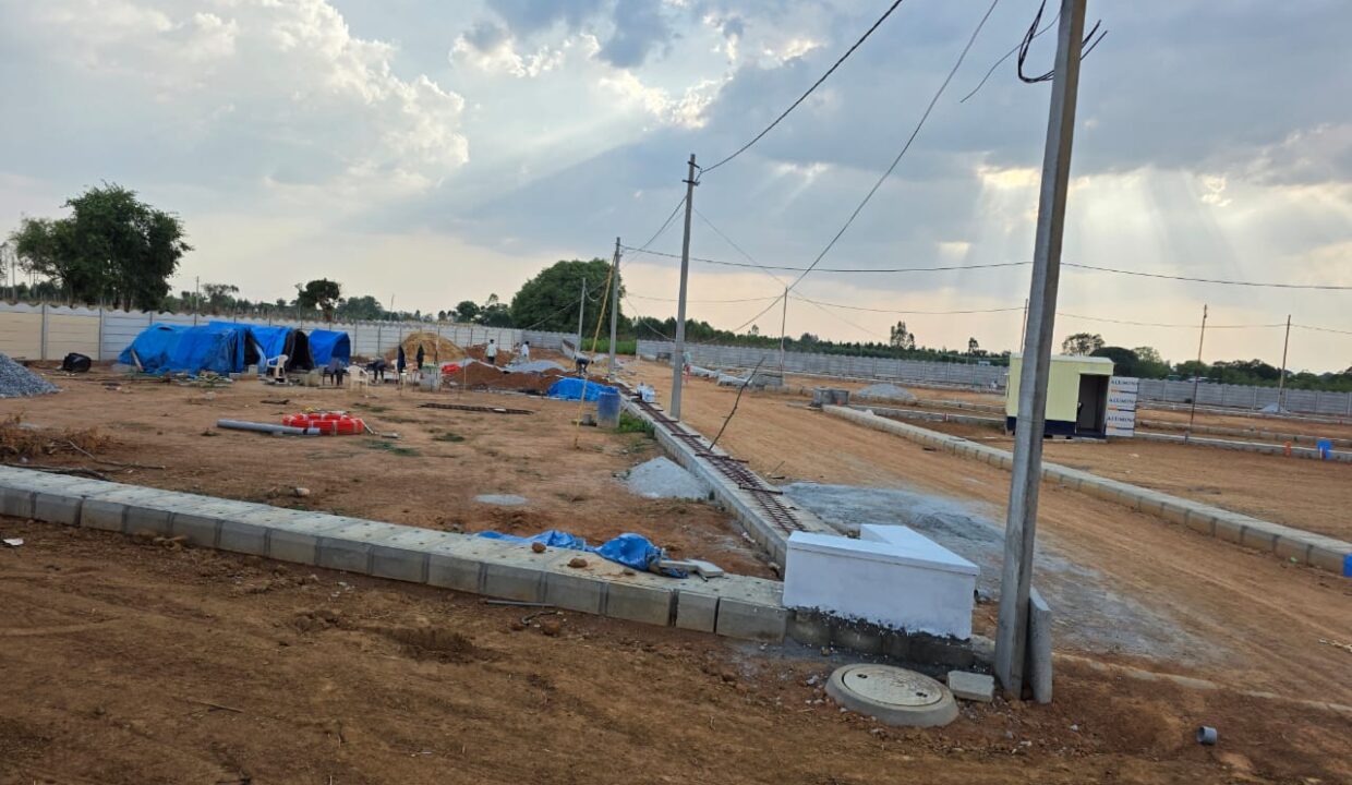 WhatsApp Image 2025-05-23 at 4.24.55 PM (1)