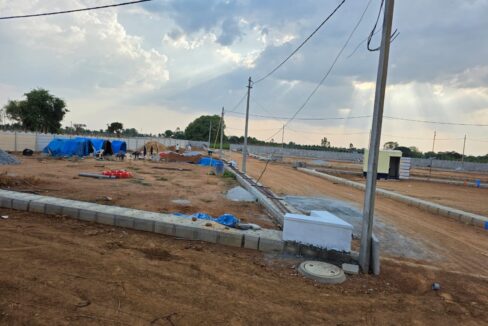 WhatsApp Image 2025-05-23 at 4.24.55 PM (1)