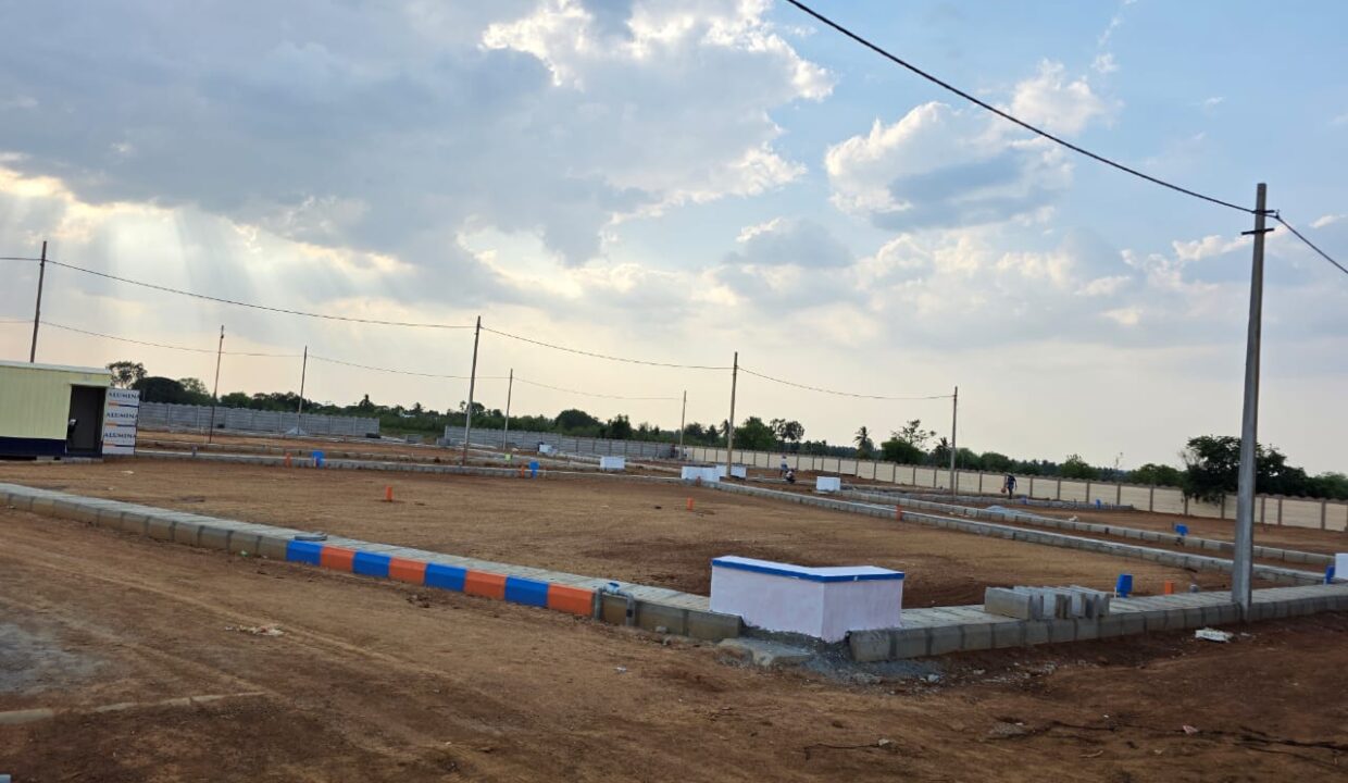 WhatsApp Image 2025-05-23 at 4.24.55 PM