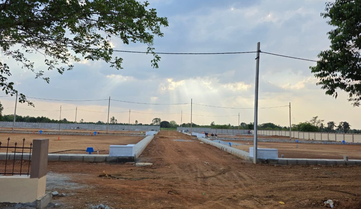 WhatsApp Image 2025-05-23 at 4.24.55 PM (3)