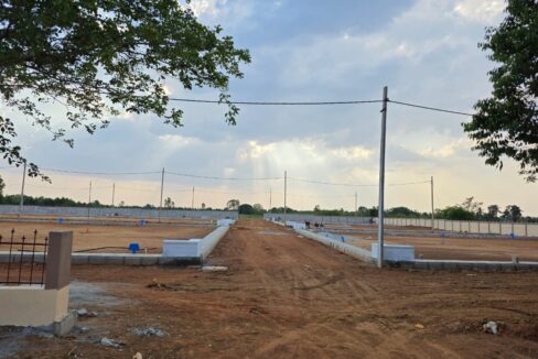 WhatsApp Image 2025-05-23 at 4.24.55 PM (3)