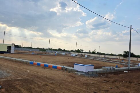 WhatsApp Image 2025-05-23 at 4.24.55 PM