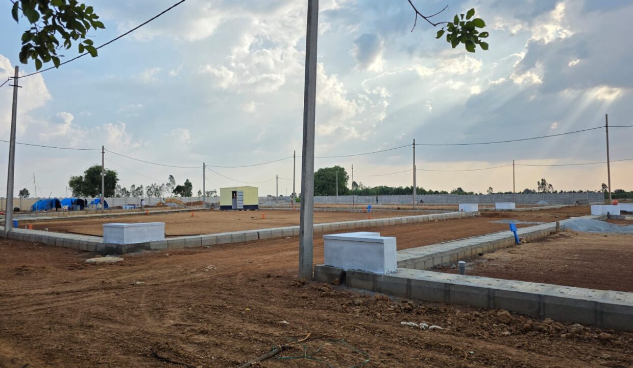 WhatsApp Image 2025-05-23 at 4.24.56 PM (1)