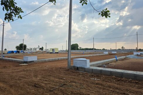 WhatsApp Image 2025-05-23 at 4.24.56 PM (1)