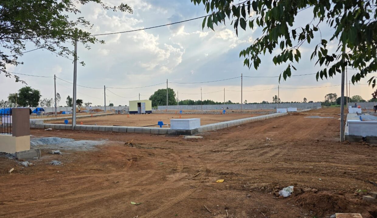 WhatsApp Image 2025-05-23 at 4.24.56 PM