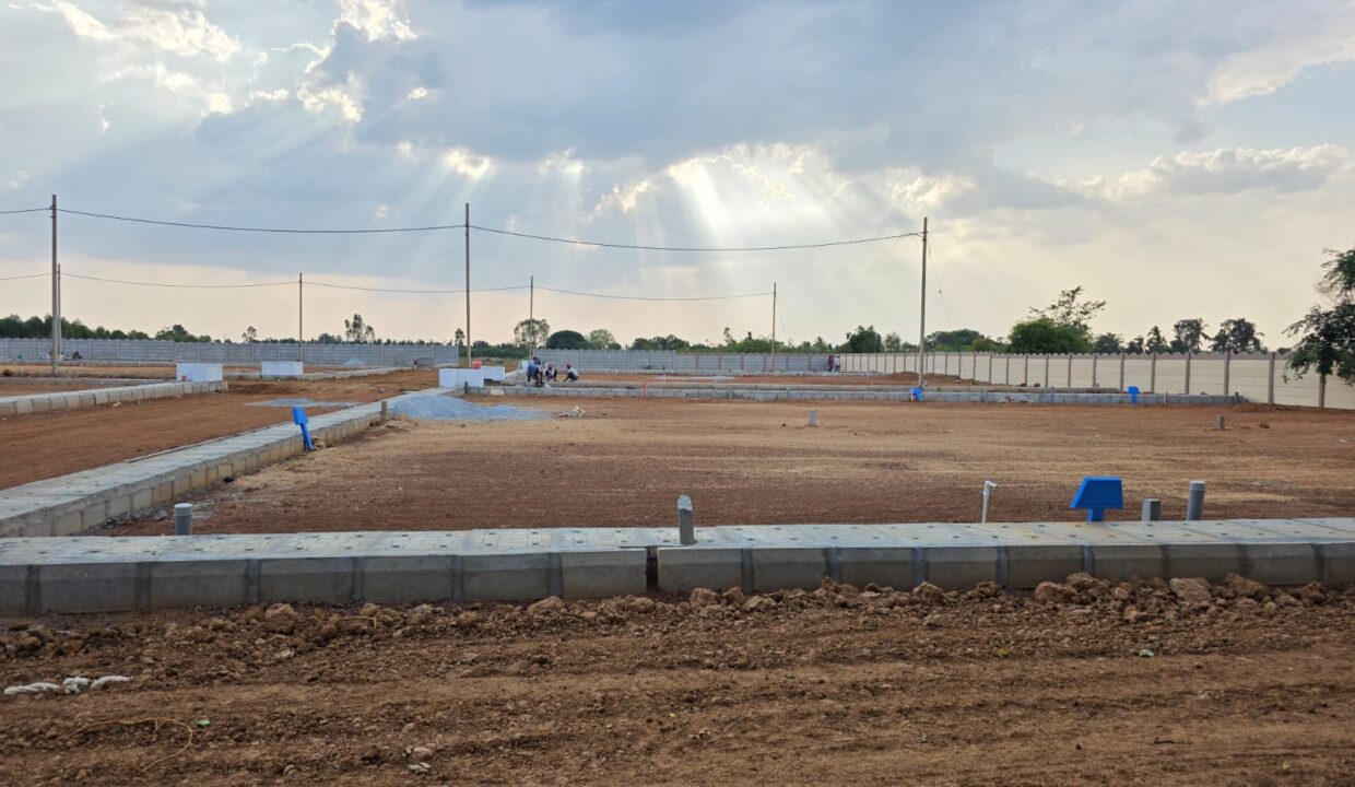 WhatsApp Image 2025-05-23 at 4.24.56 PM (2)