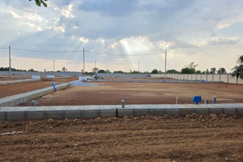 WhatsApp Image 2025-05-23 at 4.24.56 PM (2)