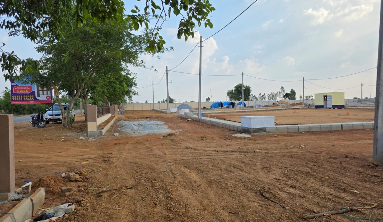 WhatsApp Image 2025-05-23 at 4.24.56 PM (3)