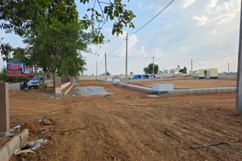 WhatsApp Image 2025-05-23 at 4.24.56 PM (3)