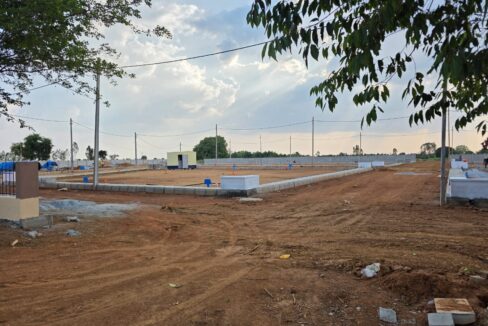 WhatsApp Image 2025-05-23 at 4.24.56 PM