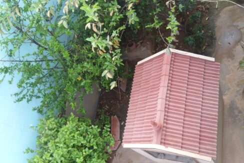 WhatsApp Image 2025-05-25 at 11.04.35 AM (2)