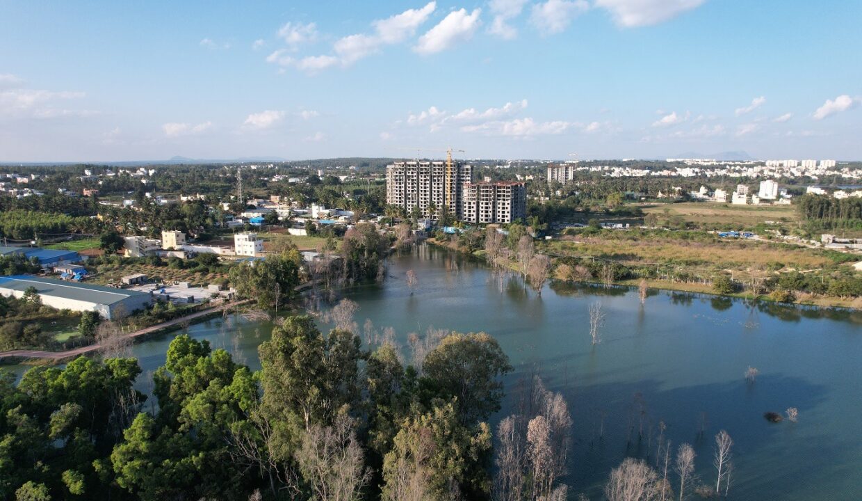 WhatsApp Image 2025-05-31 at 9.55.26 PM