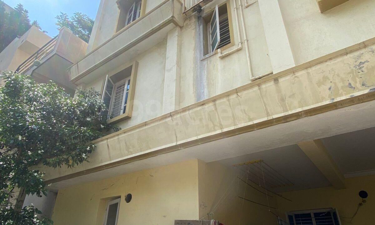 596560677O-1747390185418