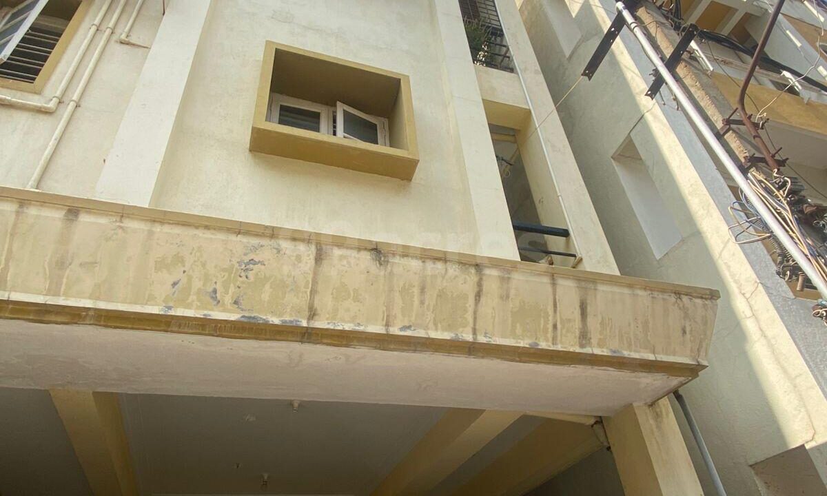 596560683O-1747390170524 (1)