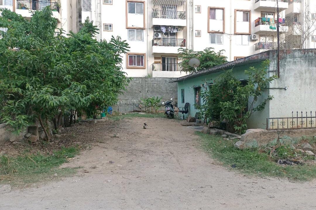 WhatsApp Image 2025-05-29 at 5.30.53 PM