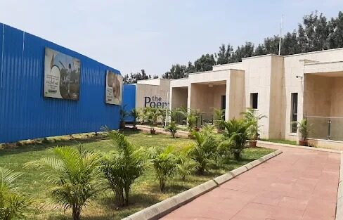 WhatsApp Image 2025-06-01 at 12.06.06 AM