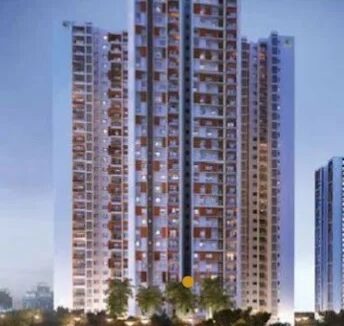 WhatsApp Image 2025-06-01 at 9.00.43 AM