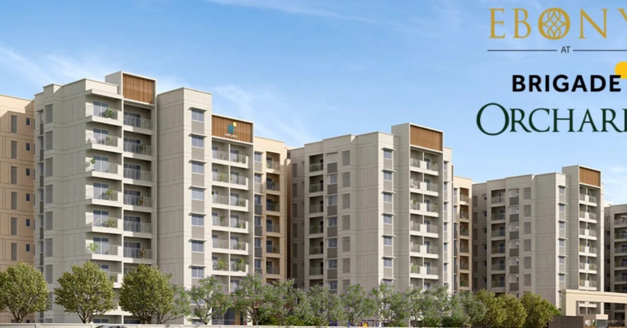 WhatsApp Image 2025-06-08 at 4.11.29 PM