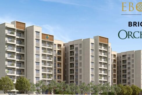 WhatsApp Image 2025-06-08 at 4.11.29 PM