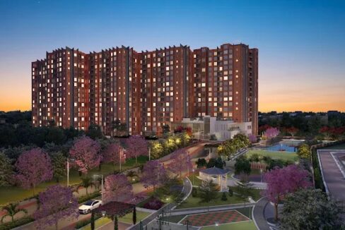 WhatsApp Image 2025-06-08 at 5.45.08 PM