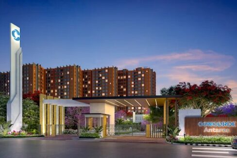 WhatsApp Image 2025-06-08 at 5.46.11 PM