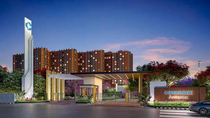 WhatsApp Image 2025-06-08 at 5.46.11 PM