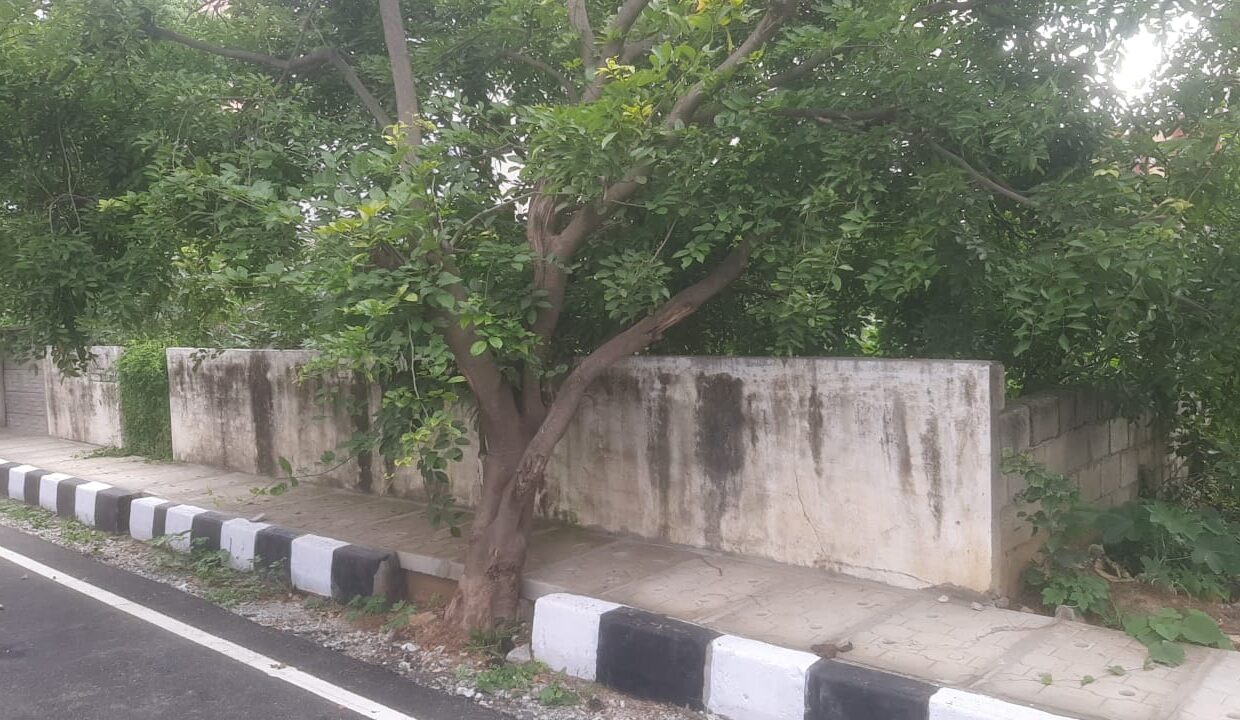 WhatsApp Image 2025-06-13 at 2.15.11 PM