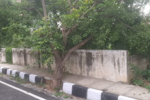 WhatsApp Image 2025-06-13 at 2.15.11 PM