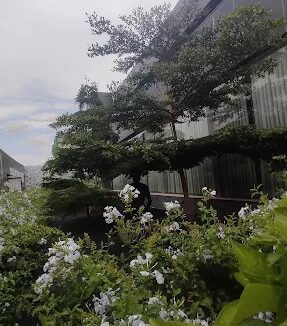 WhatsApp Image 2025-06-16 at 3.23.38 PM