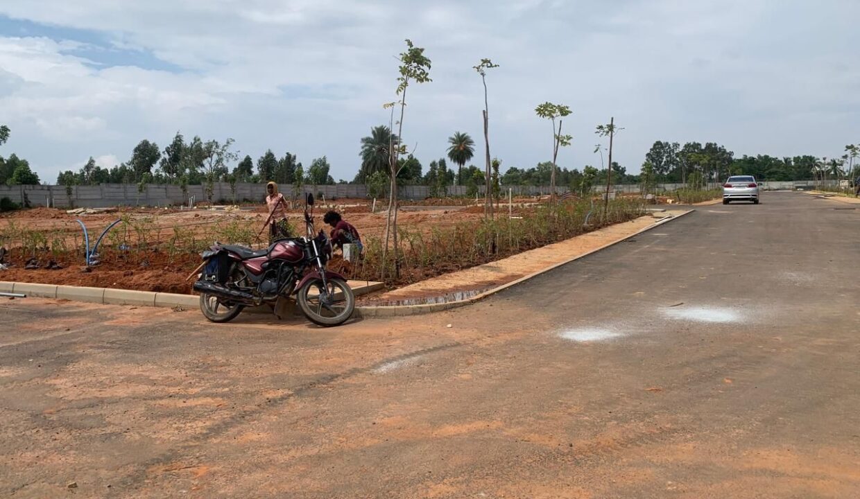 WhatsApp Image 2025-06-17 at 11.06.21 AM (3)