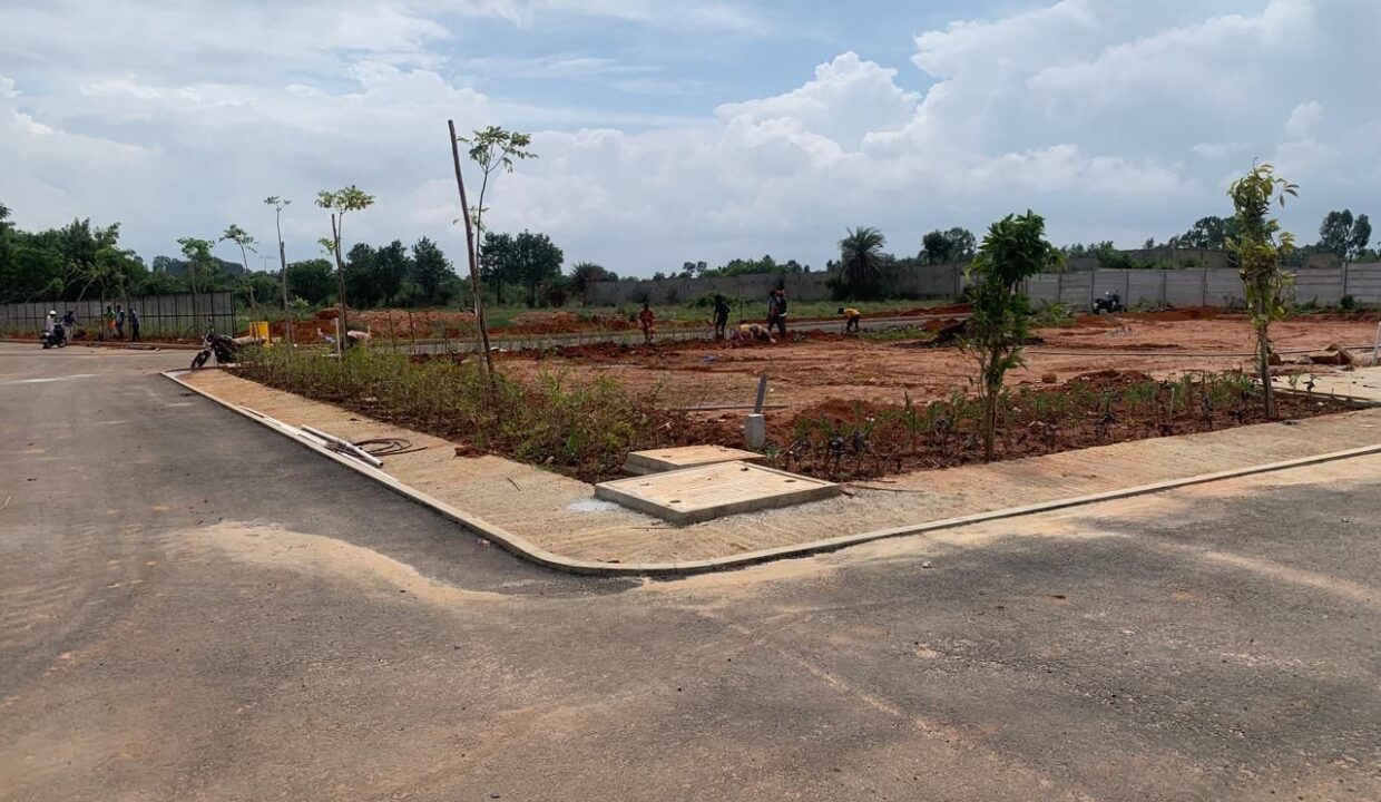 WhatsApp Image 2025-06-17 at 11.06.22 AM (1)